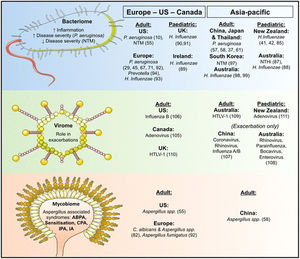 Variaciones geográficas de la microbiología encontrada en las vías aéreas de los pacientes con bronquiectasias. Fuente: tomado de Chandrasekaran et al.2.