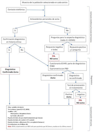 Algoritmo para el diagnóstico de asma en el estudio.