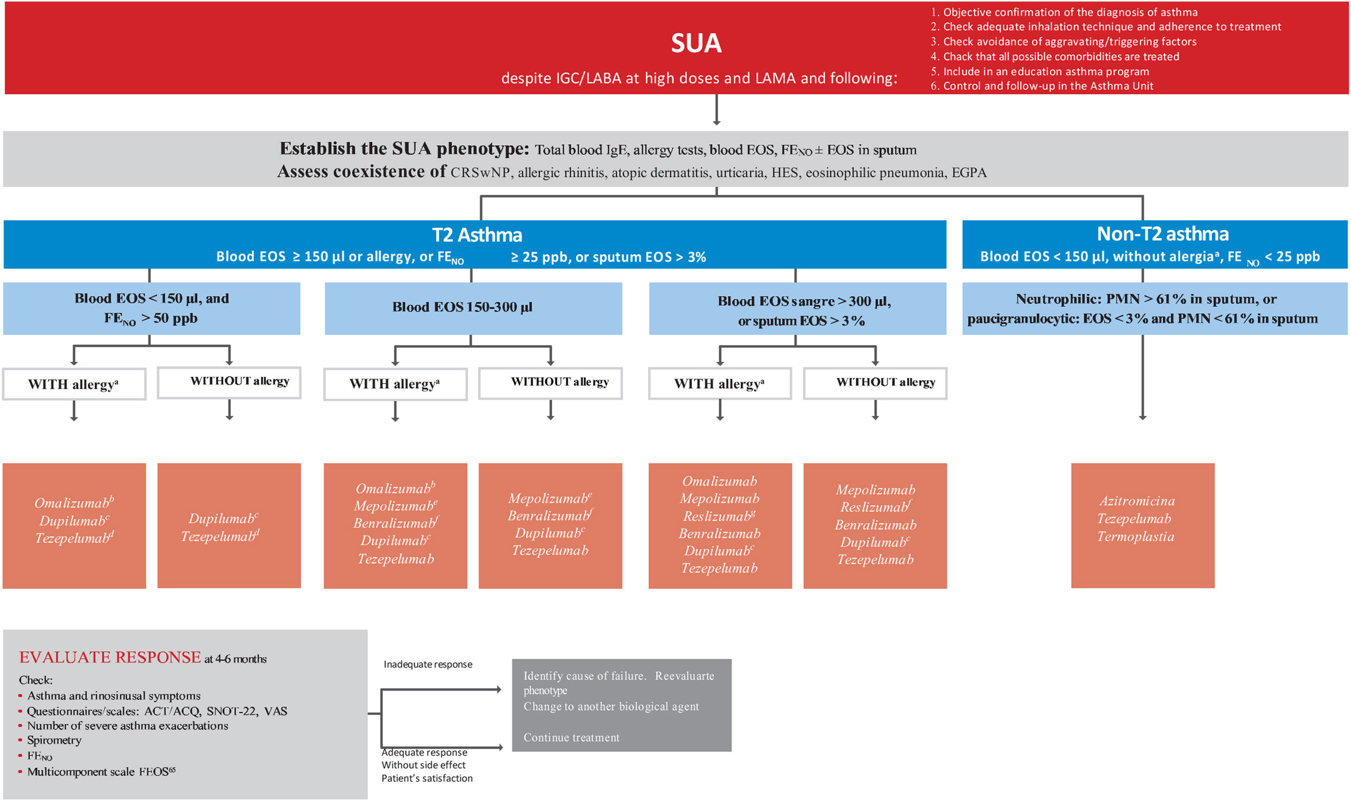 GEMA 5.3. Spanish Guideline on the Management of Asthma | Open ...