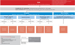 Treatment of SUA according to phenotype. SUA: severe uncontrolled asthma; ICS: inhaled glucocorticoids; LABA: long-acting β2-adrenergic agonists; LAMA: long-acting cholinergic agonists; CRSwNP: chronic rhinosinusitis with nasal polyposis; HES: hypereosinophilic syndrome; EGPA: eosinophilic granulomatosis with polyangiitis; PMN: polymorphonuclear neutrophils; ACT: Asthma Control Test; ACQ: Asthma Control Questionnaire; SNOT-22: Sinonasal Outcome Test; VAS: visual analogue scale; FENO: fractional exhaled nitric oxide; EOS: eosinophils; aSensitivity to allergens and presence of compatible clinical features, and total IgE ≥ 75 IU; bOmalizumab if IgE ≥ 75 U/l and EOS <150μl; cDupilumab if EOS ≥300μl and/or FENO ≥50 ppb and between 150-300 EOS and FENO ≥25 ppb. Not recommended if EOS ≥1,500μl. dTezepelumab if FENO ≥25 ppb; eMepolizumab if current EOS ≥150μl and ≥300μl in the previous 12 months. fBenralizumab if current EOS ≥150μl and nasal polyposis or ≥3 severe exacerbations in the previous year or FCV <60%; gReslizumab if EOS ≥400μl. Notes Definitions SUA: asthma requiring treatment with 5-6 therapeutic steps according to GEMA and presents ≥1 of the following criteria:–ACT <20 or ACQ ≥1.5.–≥2 courses of oral corticoids (OCS) during ≥3 days–in the previous year.–≥1 hospital admission due to asthma exacerbation in the previous year.–FEV1 ≤ 80% predicted. Type 2 refractory inflammation: ≥1 of the following criteria in a patient using inhaled glucocorticoids (ICS) at high doses or daily OCS:–≥150 eosinophils per microliter in blood–FENO ≥25 ppb/ul (American Thoracic Society Committee).–≥2% eosinophils in sputum.–Asthma is clinically induced by allergens. Patients requiring maintenance treatment with oral glucocorticoids can also have an underlying type 2 inflammation. However, OCS often suppress type 2 inflammation biomarkers (blood and sputum eosinophils and FENO). Therefore, when possible, these tests should be performed before starting a short course or maintenance treatment with OCS, or when the patient receives the lowest possible dose of OCS. Thresholds of peripheral blood eosinophilia: At least one analytical result of more than 300 Eos/μl in the last year. Low values of eosinophils may appear in patients recently treated or on chronic treatment with systemic glucorticoids. In this case, it can be useful to review the patient
