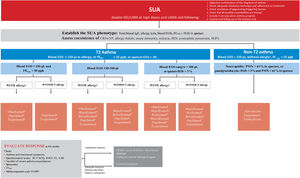 Treatment of SUA according to phenotype. SUA: severe uncontrolled asthma; ICS: inhaled glucocorticoids; LABA: long-acting β2-adrenergic agonists; LAMA: long-acting cholinergic agonists; CRSwNP: chronic rhinosinusitis with nasal polyposis; HES: hypereosinophilic syndrome; EGPA: eosinophilic granulomatosis with polyangiitis; PMN: polymorphonuclear neutrophils; ACT: Asthma Control Test; ACQ: Asthma Control Questionnaire; SNOT-22: Sinonasal Outcome Test; VAS: visual analogue scale; FENO: fractional exhaled nitric oxide; EOS: eosinophils; aSensitivity to allergens and presence of compatible clinical features, and total IgE ≥ 75 IU; bOmalizumab if IgE ≥ 75 U/l and EOS <150μl; cDupilumab if EOS ≥300μl and/or FENO ≥50 ppb and between 150-300 EOS and FENO ≥25 ppb. Not recommended if EOS ≥1,500μl. dTezepelumab if FENO ≥25 ppb; eMepolizumab if current EOS ≥150μl and ≥300μl in the previous 12 months. fBenralizumab if current EOS ≥150μl and nasal polyposis or ≥3 severe exacerbations in the previous year or FCV <60%; gReslizumab if EOS ≥400μl. Notes Definitions SUA: asthma requiring treatment with 5-6 therapeutic steps according to GEMA and presents ≥1 of the following criteria:–ACT <20 or ACQ ≥1.5.–≥2 courses of oral corticoids (OCS) during ≥3 days–in the previous year.–≥1 hospital admission due to asthma exacerbation in the previous year.–FEV1 ≤ 80% predicted. Type 2 refractory inflammation: ≥1 of the following criteria in a patient using inhaled glucocorticoids (ICS) at high doses or daily OCS:–≥150 eosinophils per microliter in blood–FENO ≥25 ppb/ul (American Thoracic Society Committee).–≥2% eosinophils in sputum.–Asthma is clinically induced by allergens. Patients requiring maintenance treatment with oral glucocorticoids can also have an underlying type 2 inflammation. However, OCS often suppress type 2 inflammation biomarkers (blood and sputum eosinophils and FENO). Therefore, when possible, these tests should be performed before starting a short course or maintenance treatment with OCS, or when the patient receives the lowest possible dose of OCS. Thresholds of peripheral blood eosinophilia: At least one analytical result of more than 300 Eos/μl in the last year. Low values of eosinophils may appear in patients recently treated or on chronic treatment with systemic glucorticoids. In this case, it can be useful to review the patient's historical values. Thresholds of FENO. The cutoff value is established at 25 ppb. However, it should be considered that results of FENO measurement can altered by the recent use of systemic glucocorticoids and total dose of inhaled glucocorticoids, age. and current smoking (lower values in smokers). In the presence of high FENO levels, it is necessary to confirm that self-administration inhaled medication is correct (treatment adherence and inhalation technique). Response to a biological drug. It is defined by:–ACT score equal or higher than 20 or a significant change as compared with baseline score (≥3 points).–Absence of hospital admissions or visits to the emergency room.–More than 50% reduction of exacerbations.–Suppression of the use of oral glucocorticoids or significant decrease of doses (≥50%). Choice among monoclonals The order in which biologics appear in the scheme when they coincide for the same indication only takes into account the time since each drug has been commercialized. In the choice of biologics should be considered: blood eosinophil count, pulmonary function, use of maintenance treatment with oral glucocorticoids, presence of comorbidities: nasal polyposis/AERD, chronic urticaria, atopic dermatitis and asthma-associated diseases (eosinophilic granulomatosis with polyangiitis, eosinophilic pneumonia, allergic bronchopulmonary aspergillosis, eosinophilic esophagitis).–Benralizumab (higher efficacy ≥300 eosinophils/μl): patients with poor pulmonary function, polyposis, maintenance with oral glucocorticoids and difficult access to asthma unit living far away [long distances]).–Reslizumab (higher efficacy ≥400 eosinophils/μl): improves pulmonary function. Not effective for reducing OCS doses. Intravenous administration.–Mepolizumab (indication from 150 eosinophils/μl but higher efficacy ≥500 eosinophils/μl): indicated in patients with ≥150 eosinophils/μl if there are historical values of ≥300 eosinophils/μl. It has been shown that allows reduction of withdrawal of OCS.–Dupilumab (higher efficacy ≥300 eosinophils/μl and/or FENO ≥50 ppb): improves pulmonary function, nasal polyposis and severe dermatitis. It has been shown that allows reduction of withdrawal or OCS and increases eosinophil values. Administration every 15 days. To choose between drugs with potential efficacy in a given patient, criteria of posology, patient's preferences, and costs should be also considered. Thermoplasty is indicated in patients neither with emphysema/bronchiectasis/atelectasis nor with important comorbidities, without treatment with anticoagulants or immunosuppressants, and who do no present recurrent infections. FEV1 should be greater than 40% and any contraindication for fiberoptic bronchoscopy with sedation should be absent.