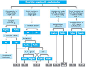 Diagnostic algorithm of occupational asthma. OA: occupational asthma; RADS: reactive airway dysfunction syndrome; SBPT: specific bronchial provocation test; PEF: peak expiratory flow. *Measurements performed after 15 days of a working period and 15 days of sick leave; sputum: analysis of the change in the number of eosinophils.
