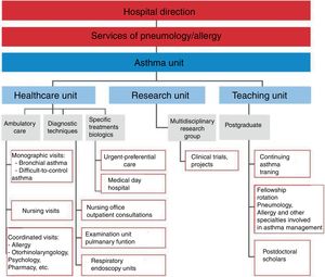 Working tasks and distribution of activities in a specialized Asthma Unit in the hospital.