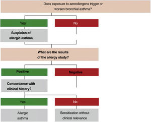 Allergy evaluation: the presence of a concordance between the clinical history and results of the allergy study is necessary to establish the diagnosis of allergic asthma.