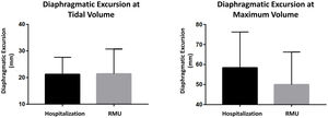 Ultrasound factors 1: diaphragmatic mobility. RMU, respiratory monitoring unit.