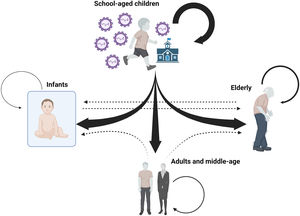Diagram showing the theoretical directionality of RSV infections within the family environment. Most RSV introductions are from school-aged children to infants, young adults, and older adults. Transmission among older adults also appears to be a relatively frequent route of RSV transmission. The impact or frequency of transmission among household members who are not school children (dashed arrows) is unknown. The size of the arrows is indicative of the infectious capacity from one age group to another based on the scientific articles referenced. The box surrounding the infant represents the safe environment in which the infant lives with respect to interaction with other people outside the family nucleus in the first months of life. Created with Biorender.