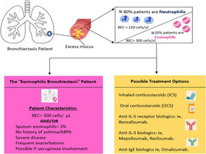 Our current understanding of the patient with eosinophilic bronchiectasis and possible treatment options for this disease subset. ABPA: allergic bronchopulmonary aspergillosis; BEC: blood eosinophilic count. Adapted from Pollock et al.43
