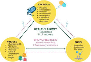 Concept of interactome: an integrated microbial network, where antibiotics affect inter-kingdom interactions. Own elaboration.