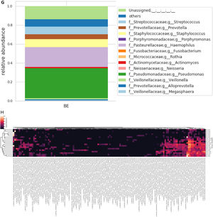 Calculation of alpha diversity values. (A) Chao1 index; (B) Simpson index; and (C) Faith