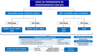 Algoritmo terapéutico del AGNC en tratamiento crónico con GCO. ACT: Asthma Control Test; ACQ: Asthma Control Questionnaire; AGNC: asma grave no controlada; BENRA: benralizumab; DUPI: dupilumab; EVA: escala visual analógica; FENO: fracción exhalada de óxido nítrico; GCS: glucocorticoides sistémicos; MEPO: mepolizumab; OMA: omalizumab; SNOT-22: cuestionario de síntomas nasales. Cuando los fármacos biológicos están a igual nivel se ordenan alfabéticamente y no es indicativo de orden de elección. Definiciones: AGNC: asma que precisa tratamiento con GCI dosis altas +LABA y LAMA y presenta ≥1 de los siguientes criterios: • ACT <20 o ACQ>1,5 • ≥2 ciclos de glucocorticoides orales (GCO) de ≥3 días de duración en el año previo • ≥1 ingreso hospitalario por agudización asmática en el año previo • FEV1 ≤80% de esperado Inflamación refractaria de T2: ≥1 de los siguientes criterios mientras el paciente usa GCO diarios: • ≥150 Eos por microlitro en sangre • FENO ≥25 ppb (American Thoracic Society Committee) • ≥2% de Eos en esputo • El asma está clínicamente provocada por alérgenos Los GCO a menudo suprimen los biomarcadores de la inflamación de Tipo 2 (Eos en sangre, Eos en esputo y FENO). Por lo tanto, si es posible, estas pruebas se deben realizar antes de comenzar un curso corto o tratamiento de mantenimiento con GCO, o cuando el paciente esté con la dosis más baja posible de GCO. Umbrales de eosinofilia en sangre: al menos una determinación de más de 300 Eos/μL en el último año. En pacientes tratados con corticoides sistémicos de forma crónica o recientemente pueden aparecer cifras bajas de Eos. En este caso puede ser de utilidad revisar valores históricos. Umbrales de FENO. El punto de corte se establece en 25 ppb. No obstante, se debe considerar que la medida de FENO puede verse alterada por la toma reciente de corticoides sistémicos y la dosis total de corticoides inhalados, por la edad y tabaquismo (niveles más bajos en fumadores). Si aparecen niveles altos de FENO, verificar que el paciente se autoadministra correctamente la medicación inhalada (adhesión terapéutica y técnica inhalatoria). Respuesta a fármaco biológico (escalas multidimensionales EXACTO y FEOS) Elección entre mAbs El orden en que aparecen los biológicos en el esquema, cuando coinciden en una indicación, obedece solo al tiempo que llevan comercializados. En la elección deben considerarse: el recuento de Eos en sangre, la función pulmonar, el uso de corticoides orales de mantenimiento, la presencia de comorbilidades: poliposis nasal/EREA, urticaria crónica, dermatitis atópica y enfermedades asociadas a asma (granulomatosis eosinofílica con poliangeítis [GEPA], neumonía eosinófila, ABPA, esofagitis eosinofílica). • Benralizumab (mayor eficacia>300 Eos/μL): pacientes con mala función pulmonar, poliposis, corticoides orales de mantenimiento y dificultad para acceder a unidad de asma. • Reslizumab (mayor eficacia>400 Eos/μL): mejora la función pulmonar. No hay ensayos clínicos que demuestren que sea eficaz para reducir la dosis de GCO. Administración intravenosa. • Mepolizumab (su indicación es a partir de 150 Eos/μL, pero mayor eficacia>500 Eos/μL): indicado en pacientes con>150 Eos /μL si existen valores históricos de>300 Eos/μL. Se ha demostrado que permite reducción o retirada de GCO. • Dupilumab (mayor eficacia>300 Eos/μL y FENO>50 ppb): mejora la función pulmonar, la poliposis nasal y la dermatitis atópica grave. Se ha demostrado que permite reducción o retirada de GCO y aumenta los valores de Eos. La administración es quincenal. Según IPT, posible indicación en todos los pacientes corticodependientes. • Tezepelumab según IPT está indicado en el asma grave no controlada, independientemente del valor de biomarcadores. Para elegir entre fármacos con potencial eficacia en un determinado paciente, se deben considerar criterios de comodidad posológica (preferible mensual/bimensual en lugar de quincenal), vía de administración (preferible subcutáneo a intravenoso) y costes. La termoplastia está indicada en pacientes sin enfisema/bronquiectasias/atelectasias ni comorbilidades importantes. Sin tratamiento con anticoagulantes o inmunosupresores y que no presenten infecciones recurrentes. La FEV1 debe ser mayor de 40% y no debe haber contraindicación para BFC con sedación.