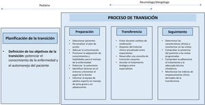 Recomendaciones del Consenso STAR para la transición (adaptada de Valverde-Molina431).