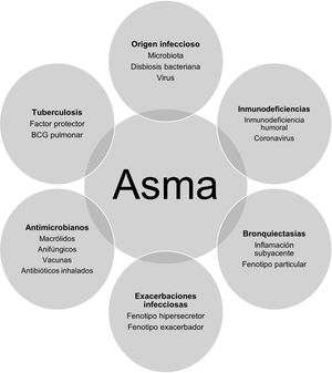 Interacciones en el binomio infección y asma. BCG: bacilo de Calmette-Guérin.