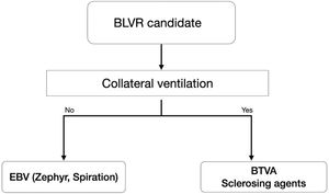 Choice of BLVR type depending on the presence of collateral ventilation. BLVR: bronchoscopic lung volume reduction; EBV: endobronchial valves; BTVA: bronchial thermal vapour ablation.