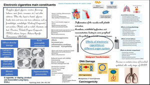 Effects of electronic cigarettes on different organ system.15,59,60