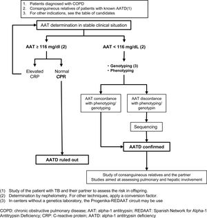 Diagnostic algorithm for alpha-1 antitrypsin deficiency. 1. Evaluation of the patient with AATD and their partner to assess the risk for offspring. 2. Quantification by nephelometry. For other techniques, apply the conversion factor. 3. In centers without access to a genetics laboratory, the Progenika-REDAAT pathway may be used. Abbreviations: COPD: chronic obstructive pulmonary disease; AAT: alpha-1 antitrypsin; REDAAT: Spanish Network for Alpha-1 Antitrypsin Deficiency; CRP: C-reactive protein; AATD: alpha-1 antitrypsin deficiency.