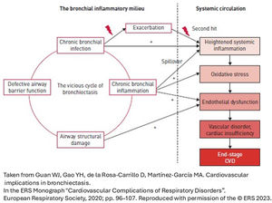 Possible mechanisms of the inflammatory responses that mediate the increased risks of cardiovascular diseases in bronchiectasis.