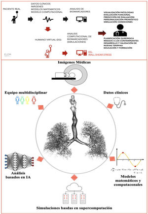 Virtual human twin (GD), complementario a los datos clínicos del paciente real. Componentes técnicos en la cadena de desarrollo de un GD pulmonar.