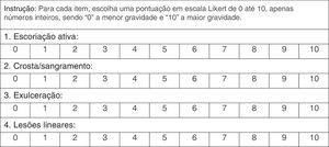 Instrumento fotográfico para avaliar lesões de pele causadas por dermatotilexomania.