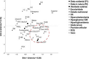 Mapa perceptual das principais variáveis demográficas, clínicas, antropométricas e de adesão aos padrões alimentares em 94 pacientes com psoríase. As variáveis quantitativas foram categorizadas de acordo com o tercil das distribuições. DM, diabetes mellitus; HA, hipertensão arterial; IMC, índice de massa corporal; RCQ, relação circunferência quadril. Escores padronizados de P1 e P2: variaram de ‐3 a+3 de acordo com a adesão a cada padrão alimentar.