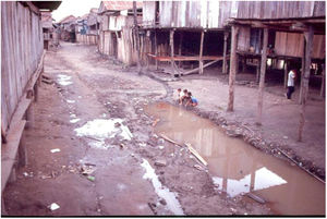 Processo de urbanização não planejada em aldeia indígena do alto Solimões, Amazonas. (Cortesia do Prof. Sinésio Talhari.).