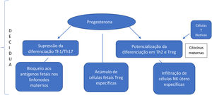 Supressão da citotoxicidade e o estado de imunomodulação na interface materno‐fetal.