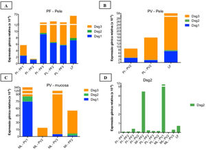 Expressões gênicas relativas (×10‐4) de Dsg1, Dsg2 e Dsg3 em amostras de pele e mucosas. A, Pele íntegra (PI) e pele lesional (PL) do PF em comparação à amostra controle de lifting (LF) mostrando predominância da expressão da Dsg3 em comparação às Dsg1 e Dsg2. B, PI e PL do PV e LF. As expressões das Dsg1, Dsg2 e Dsg3 foram menores do que na amostra de LF. C, Mucosa lesional (ML) de PV em comparação com a mucosa íntegra (MI) de PF mostrando predominância da expressão de Dsg3 comparada às Dsg1 e Dsg2. A expressão da Dsg2 está aumentada em amostras da mucosa. D, Comparação da expressão da Dsg2 em todas as amostras PF e PV. As expressões gênicas relativas das Dsg1, Dsg2, Dsg3 foram calculadas usando 2(−ΔcT) e 18S rRNA como gene de referência.