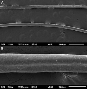 Microscopia eletrônica de varredura – exame dos cabelos mostrando canais na haste pilar. (A), Pequeno aumento (45×). (B), Médio aumento (250×).