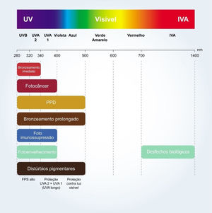 Representação esquemática dos efeitos na pele dos diferentes tipos de radiação solar. PPD (do inglês, escurecimento pigmentário persistente); IV‐A, infravermelho ‐ A (780 nm‐1,4 μm).