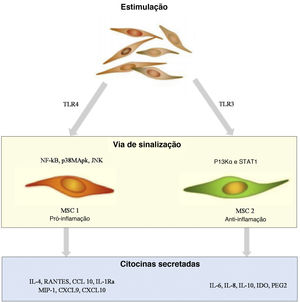 Papel das células‐tronco mesenquimais na patogênese da psoríase.
