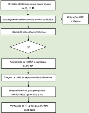 Fluxo de trabalho do experimento de sequenciamento de miRNAs.