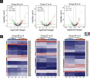 Triagem de miRNAs expressos diferencialmente. (A) Gráficos de vulcão. Os círculos vermelhos indicam expressão estatisticamente up‐regulada; os círculos verdes indicam expressão down‐regulada; e os círculos cinza indicam miRNAs expressos não diferencialmente. (B) Mapa de calor de agrupamento hierárquico para miRNAs. A escala de cores é mostrada abaixo: azul representa um nível de expressão abaixo da média, e vermelho representa um nível de expressão acima da média.