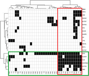 Mapa térmico e dendrogramas entre proteínas identificadas (linhas) e funções biológicas (colunas). Destaques em verde: agrupamento de proteínas com padrão de ocorrência semelhante de acordo com as funções que exercem; e em vermelho: as funções com padrão de expressão semelhante, de acordo com as proteínas indicadas.