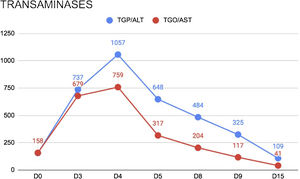 Curva de enzimas hepáticas durante o período de doença e tratamento com aciclovir intravenoso. D0, primeiro dia da internação; D15, dia da alta hospitalar