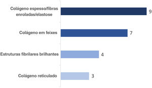 Termos usados na MCR para descrição dos diferentes aspectos do colágeno na derme papilar e número de participantes que utilizam cada um dos termos.