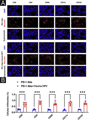 Efeito da vacina contra HPV combinada com anticorpo monoclonal PD‐1 na imunofluorescência em camundongos. (A) Observação por imunofluorescência de diferenças no microambiente imunológico (CD8, CD4, NK, DC, macrófago). (B) Análise estatística utilizando o software Image J da porcentagem de células imunológicas positivas. ***p<0,001.