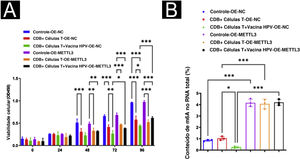 Mecanismos da suscetibilidade aumentada do CECC à imunoterapia, induzida pela vacina contra HPV. (A) Ensaio CCK8 revelou que a vacina contra o HPV promoveu significantemente o efeito supressor das células T CD8+ nas células A431, enquanto a superexpressão de METTL3 atenuou o efeito supressor do tratamento com a vacina contra o HPV nas células A431 pelas células T CD8+. (B) O ensaio m6A revelou que a vacina contra o HPV reduziu significantemente o conteúdo total de m6A no sistema de cocultura de células T CD8++células A431, enquanto o knockdown de METTL3 aboliu significantemente este efeito. *p<0,05, **p<0,01, ***p<0,001.