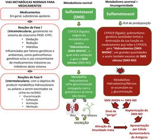 Vias metabólicas normais para eliminação de medicamentos e exemplo do metabolismo anormal da sulfametoxazol (SMX) em pacientes com HLA de predisposição e alterações de perda de função (LOF, loss‐of‐function) de enzimas metabólicas como as do citocromo P450 (CYP) e/ou das reações de fase II (intermoleculares) como defeitos na glucorinização gerando metabólitos hidroxilamina/nitroso em excesso que podem gerar sinais de “perigo” ao sistema imune, com dano celular direto e ativação da imunidade inata e/ou serem apresentados como hapteno às células apresentadoras de antígenos.