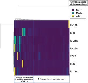 A imagem exibe mapa de calor da expressão gênica de mediadores pertencentes à via de sinalização TYK2. Os dados são derivados de 55 pacientes com psoríase que realizaram todas as medições necessárias em suas células mononucleares periféricas e cujos resultados replicados estavam dentro de dois desvios‐padrão. Este gráfico foi gerado usando o programa R versão 4.1.2 (R Core Team (2021)). R: linguagem e ambiente para computação estatística. R Foundation for Statistical Computing, Viena, Áustria. URL https://www.R‐project.org/). TYK2, tirosina quinase‐2; IL, interleucina; R, receptor.