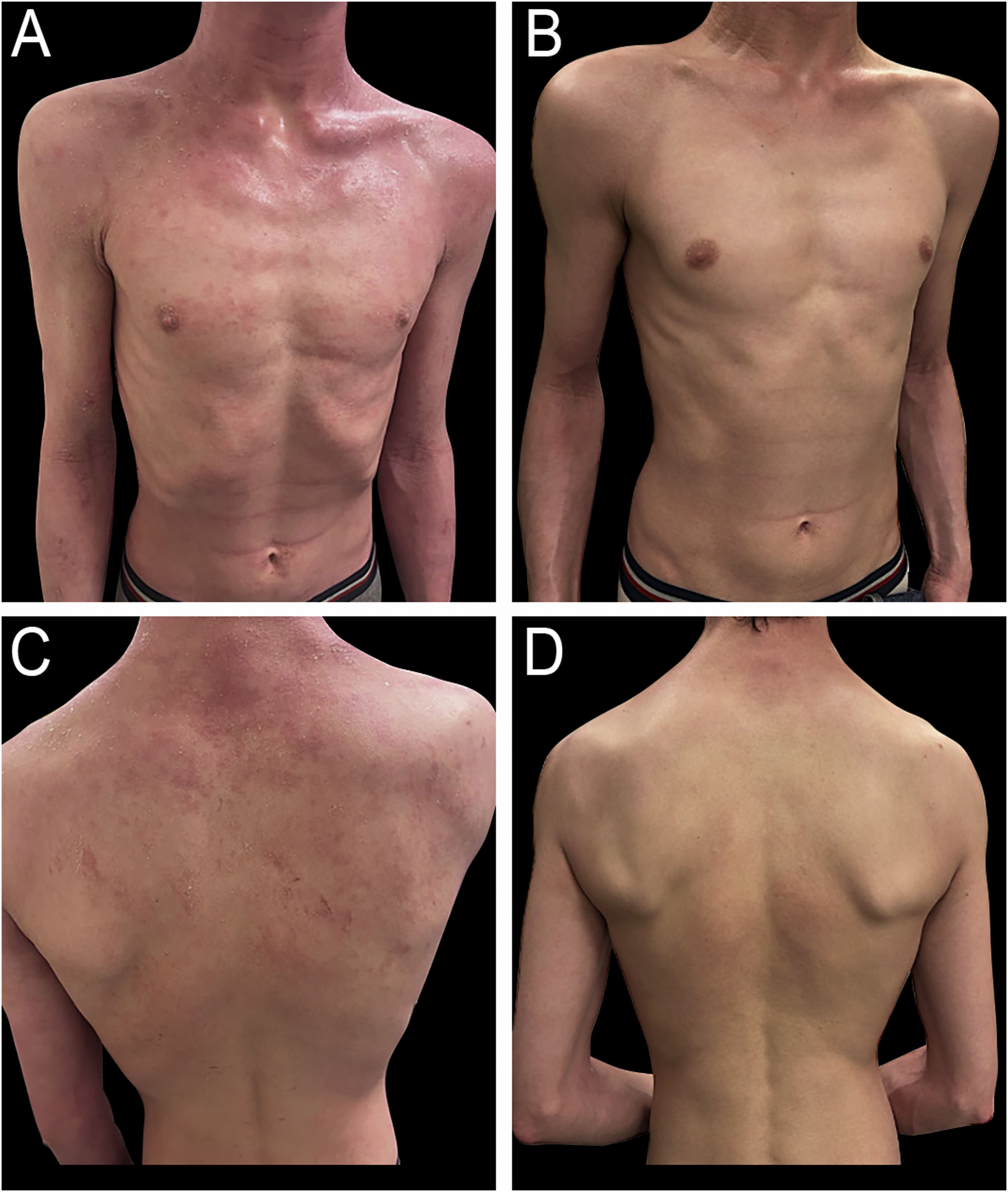 fig0015