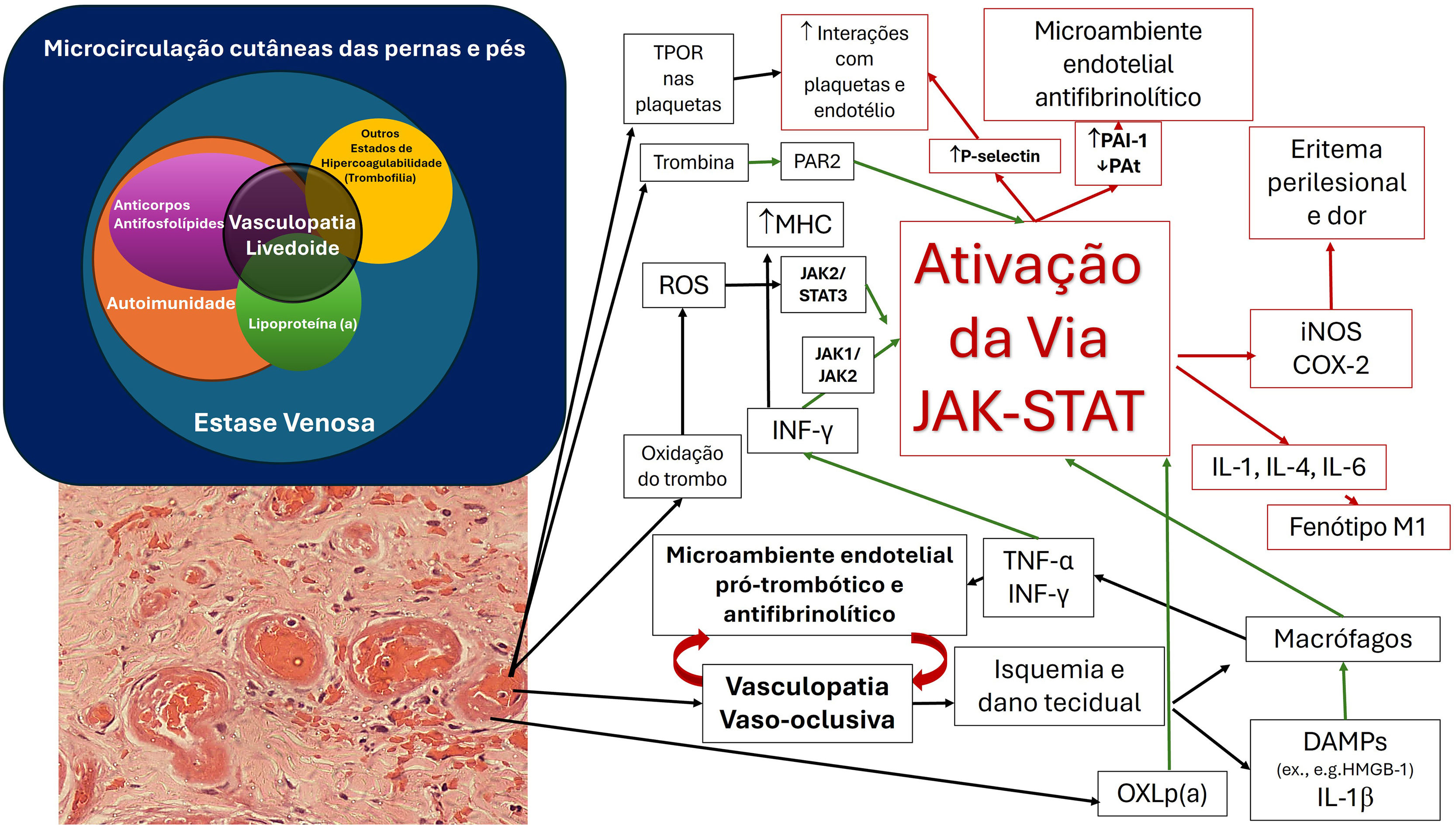 fig0010