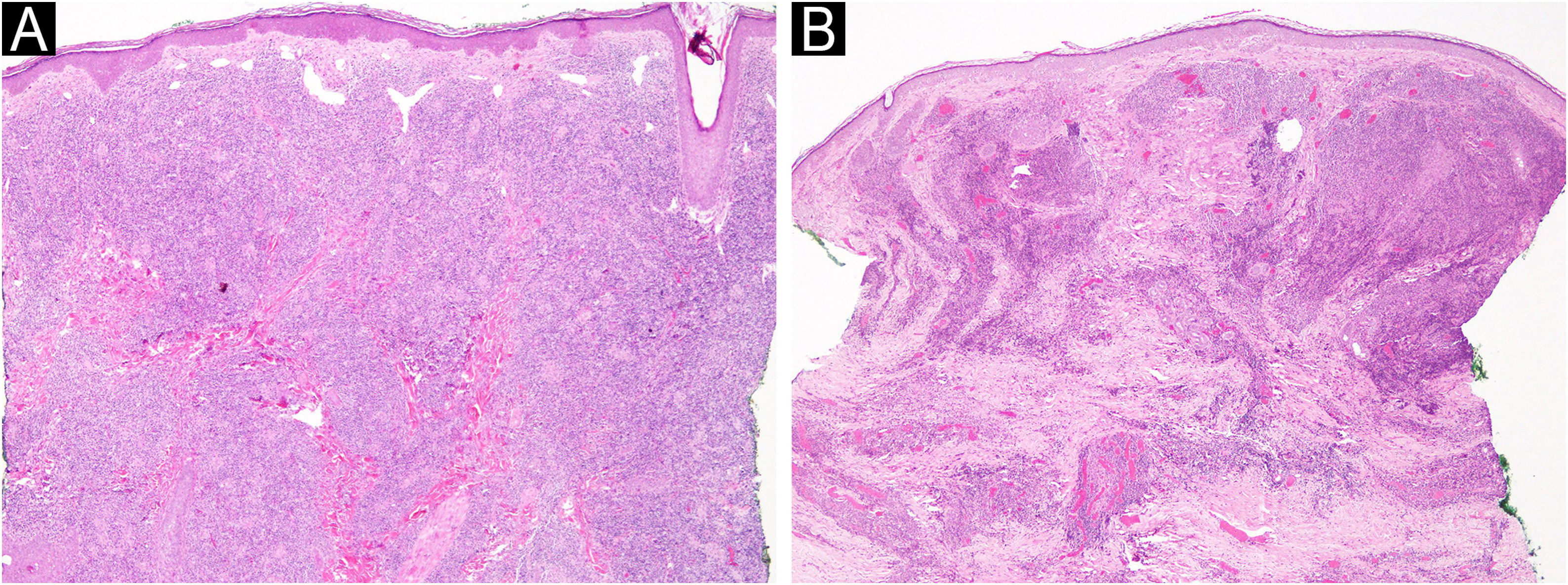 fig0015