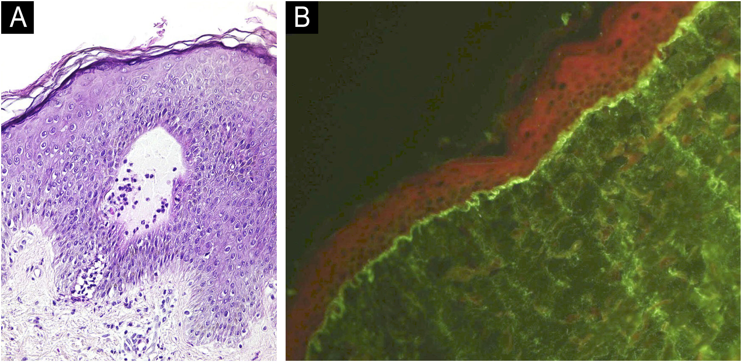 fig0010