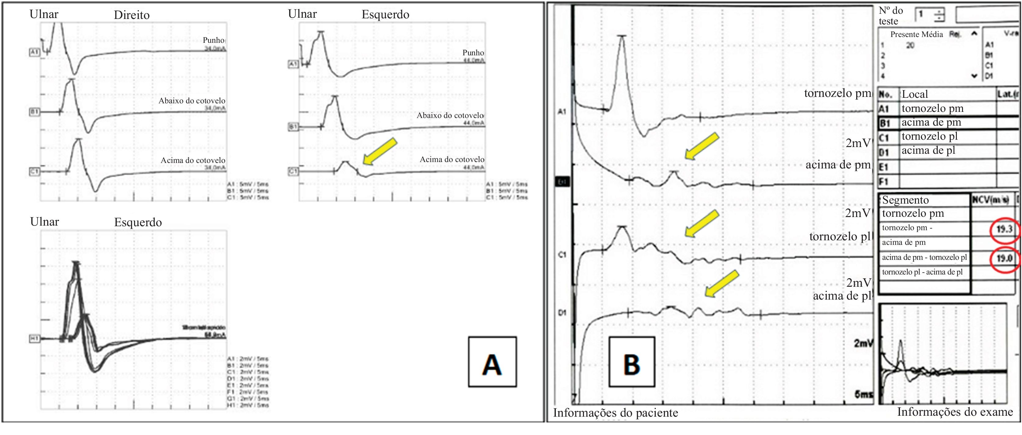 fig0040