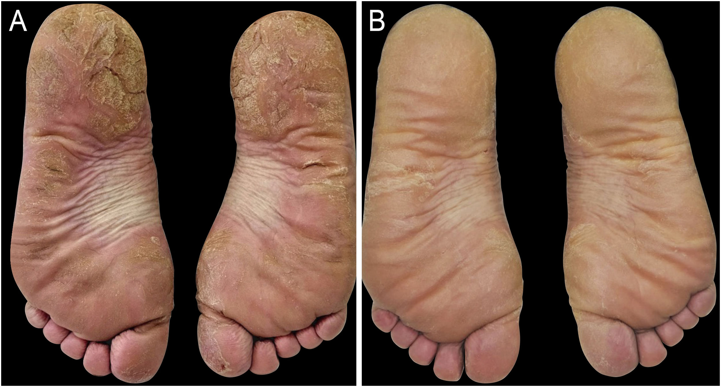 fig0005