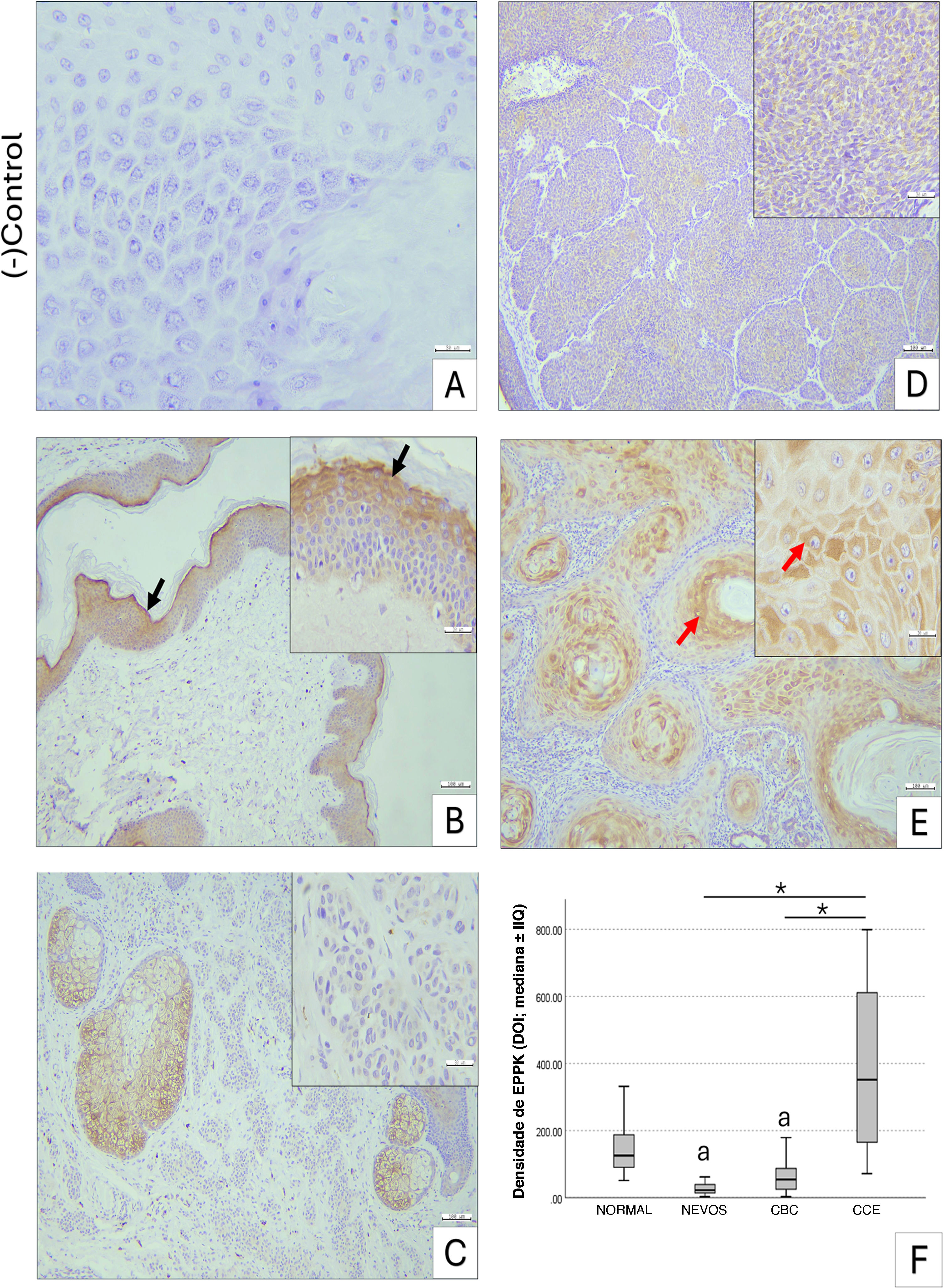 fig0010