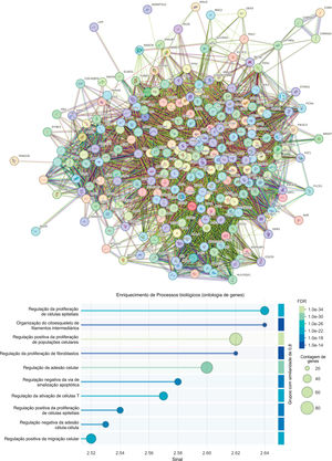 Análise funcional GO de proteínas sobrepostas na interseção de proteínas da família das plaquinas e redes associadas ao carcinoma de células escamosas. As proteínas da família das plaquinas (EPPK1, DSP, EVPL, PPL, PLEC, BPAG1 e MACF1) foram interseccionadas com redes associadas ao CCE, e as proteínas compartilhadas foram submetidas à análise de enriquecimento de via KEGG. O diagrama de caixa exibe os dez processos biológicos mais significantemente enriquecidos (FDR <0,05). O gradiente de cores, do azul escuro ao verde claro, indica valores de FDR decrescentes, enquanto o tamanho de cada caixa reflete o número de genes que contribuem para o enriquecimento, representando o peso dessa via dentro do conjunto de dados interseccionados. EPPK1, epiplaquina; DSP, desmoplaquina; EVPL, envoplaquina; PPL, periplaquina; PLEC, plectina; BPAG1, antígeno‐1 do penfigoide bolhoso; MACF1, fator de ligação cruzada de actina de microtúbulos‐1.
