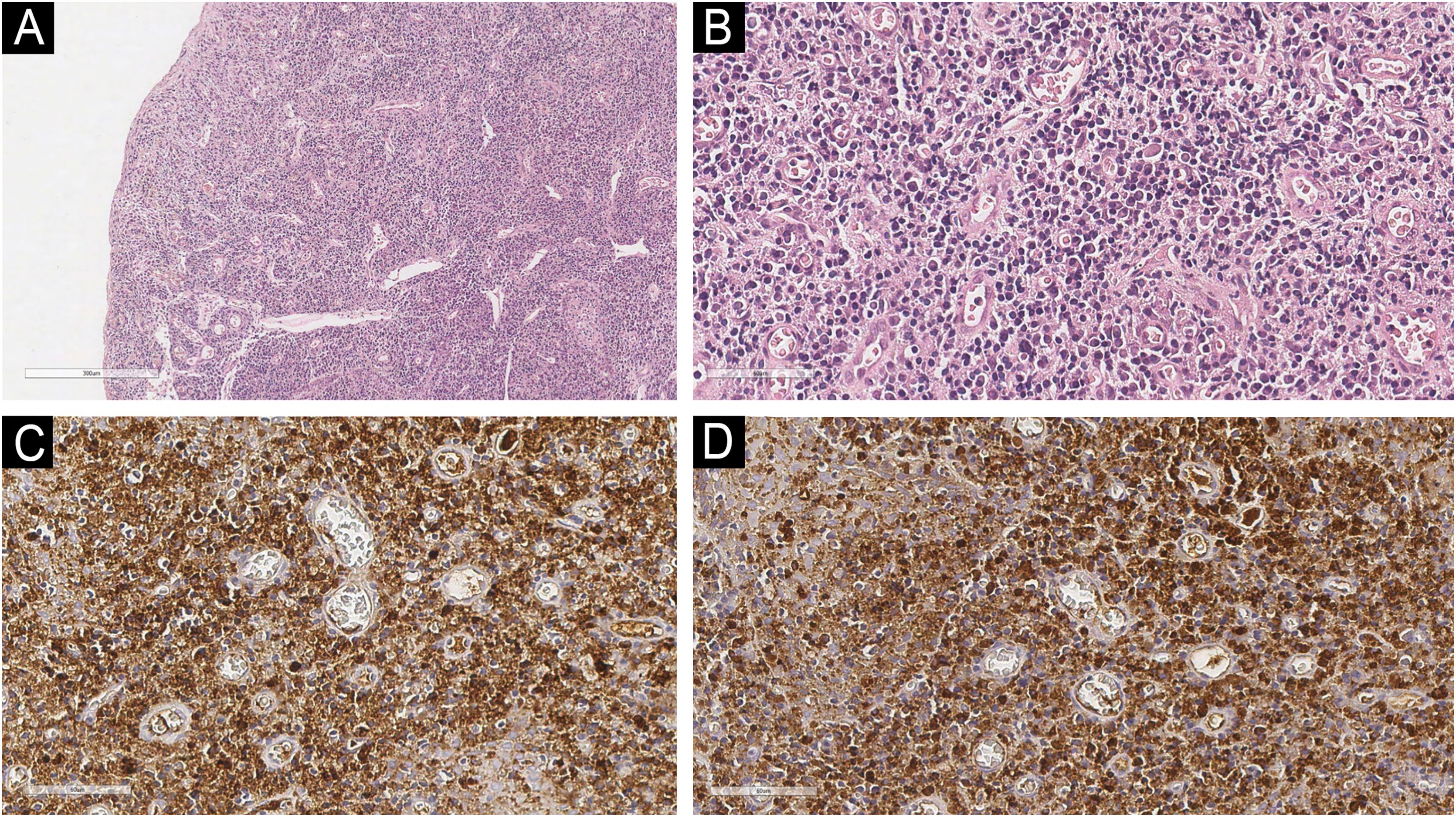 fig0010