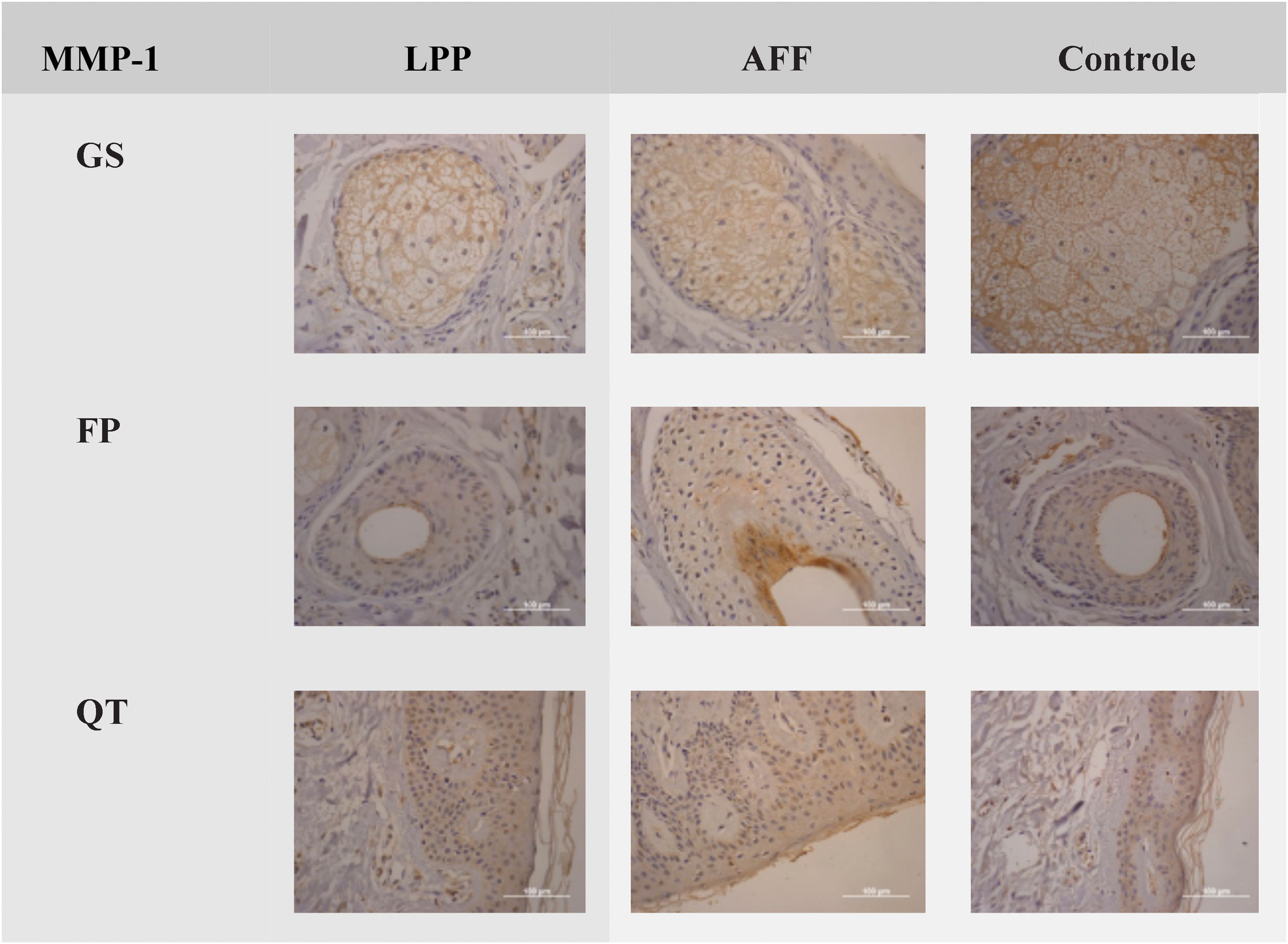 fig0005