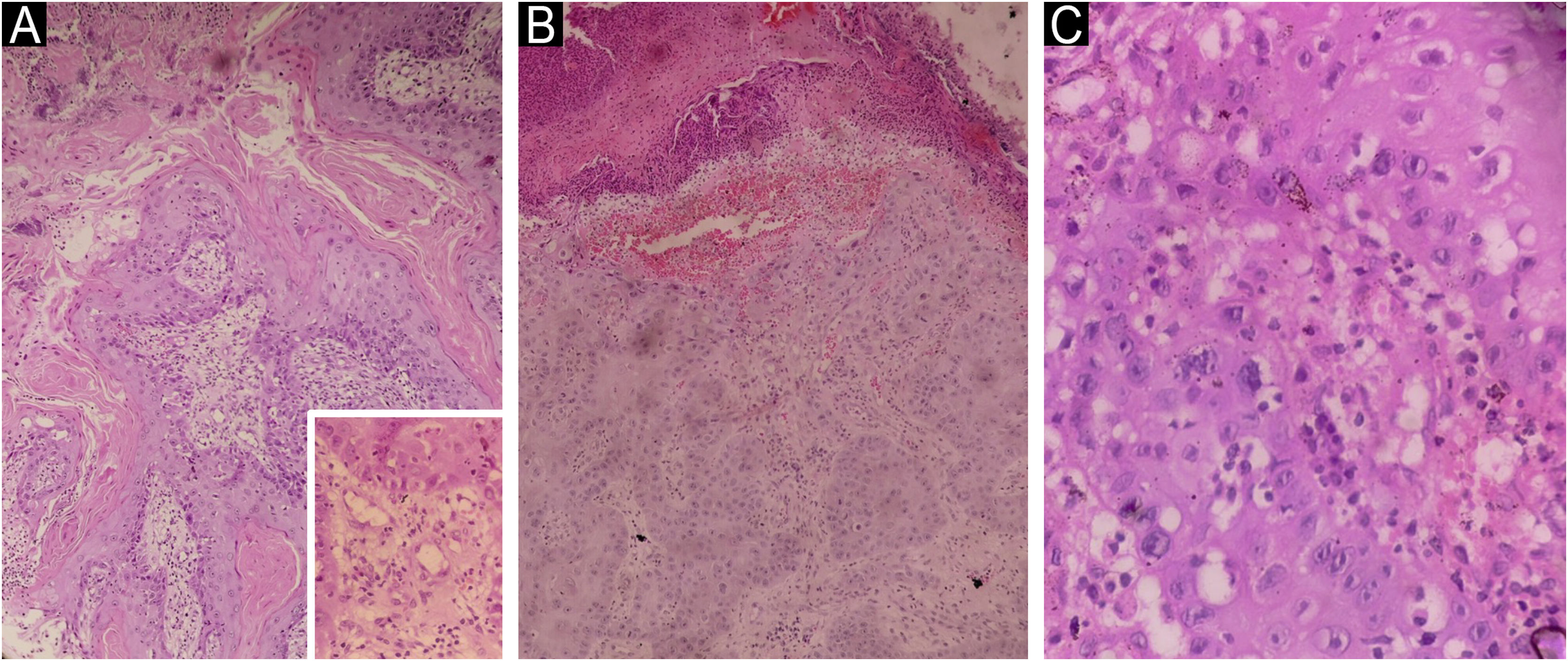 fig0030