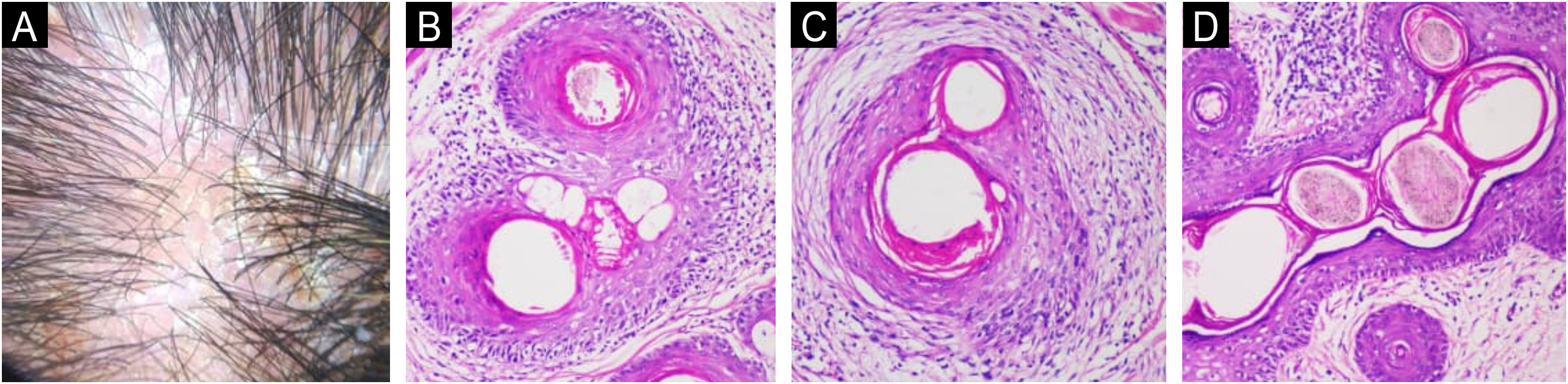 fig0010
